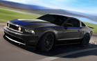 Ford Mustang (Vaughn Gittin jr.)