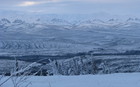 Au cerlce polaire