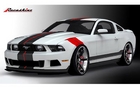 Ford Mustang Raceskinz Premium