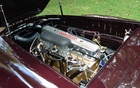 Ford Cisitalia  1952. Six en ligne Mercury (ou Ford!) d'environ 150 chevaux .