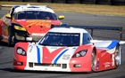 Les nouveaux prototypes Corvette (ici celui piloté par David Donohue) ont dominé les essais préliminaires des 24 Heures de Daytona.