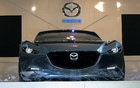 Le museau aquilin de l'étude Mazda Shinari