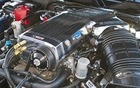 Shelby 1000 