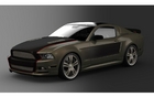 Ford Mustang Fast metal Concept
