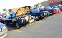 MTL Mustang 2012 - 1