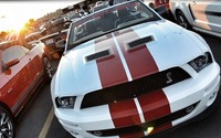 MTL Mustang 2012 - 3