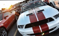 2012 MTL Mustang - 3