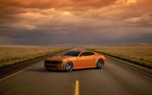 Barracuda Concept