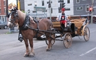 De 1 200 chevaux à uncheval qui a sa journée dans le corps