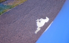 Totally useless, but incredibly fun: an optional lamp projects the Mustang emblem onto the ground.