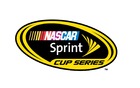 Keselowski is poised to take home his first Sprint Cup championship.