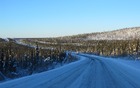Some regions of the Alaskan interior were densely wooded, while others featured shorter, stubbier coniferous trees that lined the fields on either side of the highway.