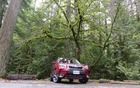 The 2014 Subaru Forester.