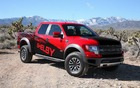 Shelby Raptor