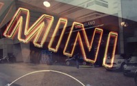 2013 International MINI Meeting Highlights