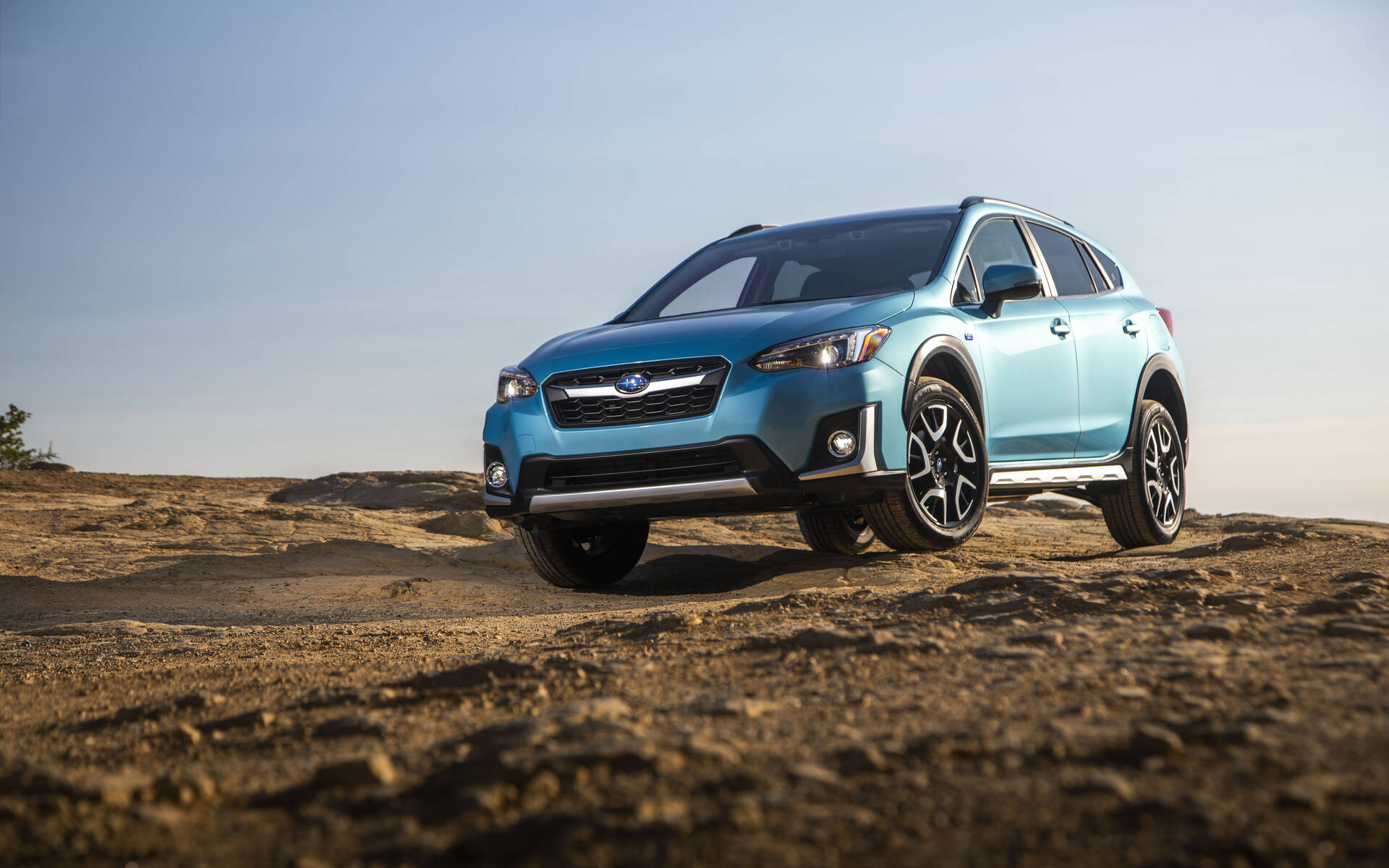 Subaru, Lexus Once Again Lead Brand Loyalty Ranking - The Car Guide